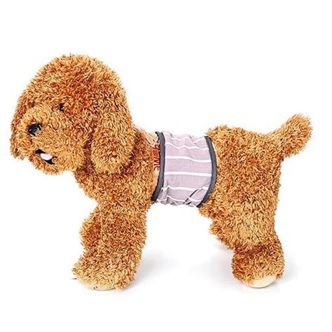 washable dog diapers male|More.